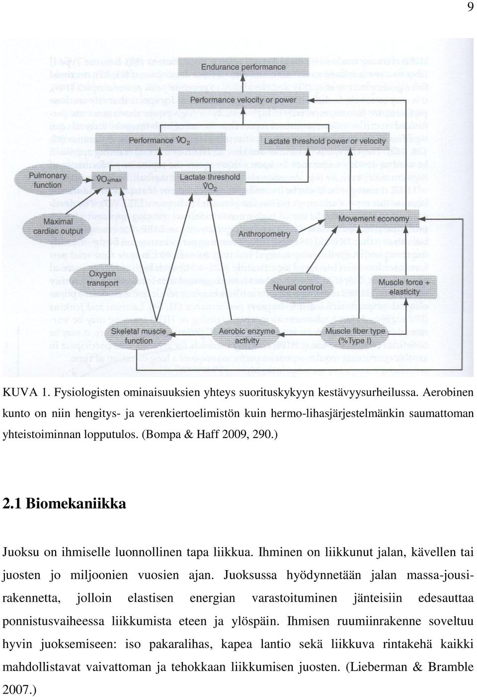 1 Biomekaniikka Juoksu on ihmiselle luonnollinen tapa liikkua. Ihminen on liikkunut jalan, kävellen tai juosten jo miljoonien vuosien ajan.