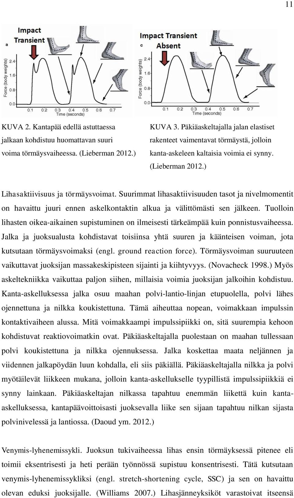 Suurimmat lihasaktiivisuuden tasot ja nivelmomentit on havaittu juuri ennen askelkontaktin alkua ja välittömästi sen jälkeen.