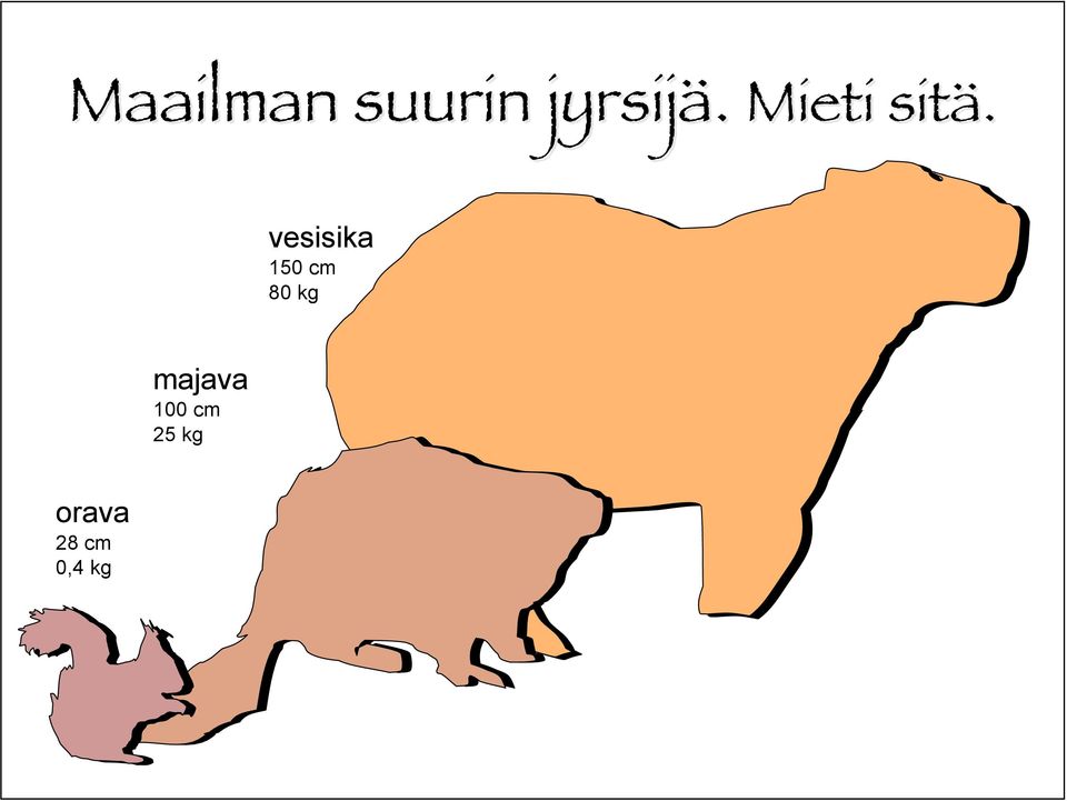 vesisika 150 cm 80 kg