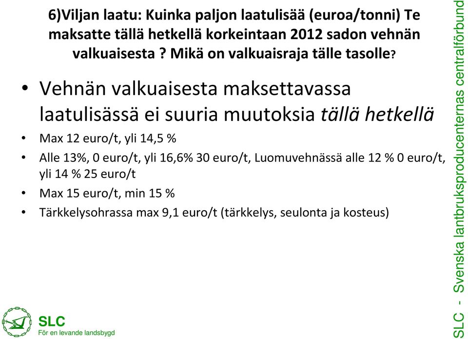 Vehnän valkuaisesta maksettavassa laatulisässä ei suuria muutoksia tällä hetkellä Max 12 euro/t, yli 14,5 %