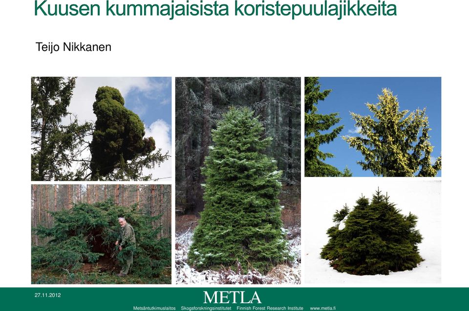 Skogsforskningsinstitutet
