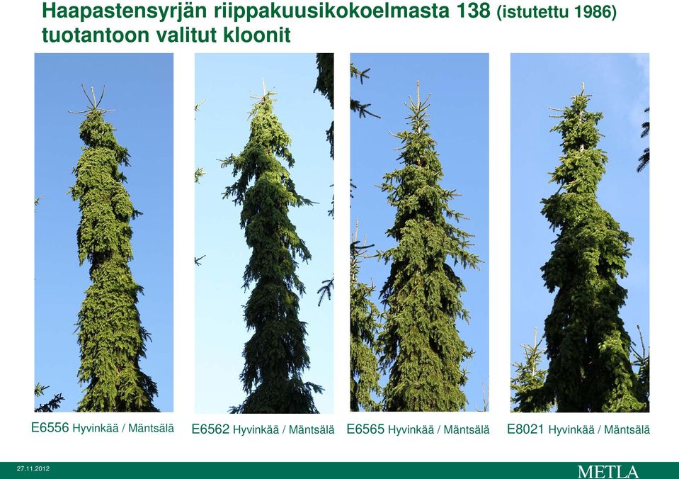 Hyvinkää / Mäntsälä E6562 Hyvinkää / Mäntsälä