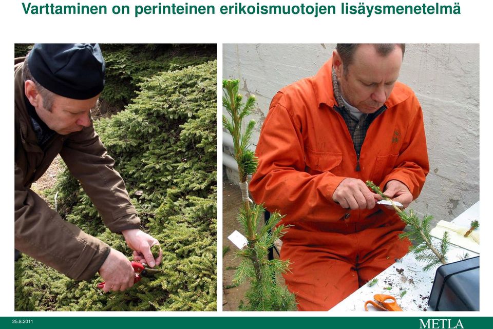 erikoismuotojen