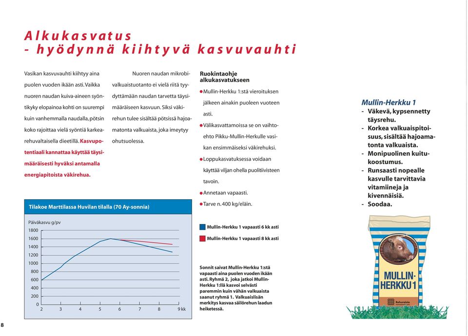 Siksi väkidyttämään naudan tarvetta täysi- kuin vanhemmalla naudalla, pötsin rehun tulee sisältää pötsissä hajoamatonta valkuaista, joka imeytyy koko rajoittaa vielä syöntiä karkearehuvaltaisella