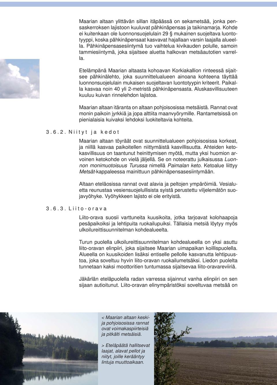 Pähkinäpensasesiintymä tuo vaihtelua kivikauden polulle, samoin tammiesiintymä, joka sijaitsee aluetta halkovan metsäautotien varrella.