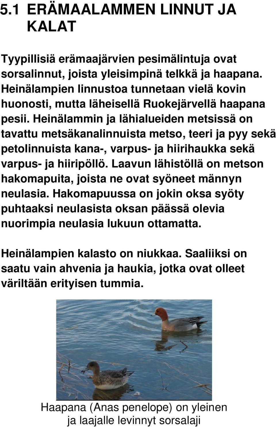 Heinälammin ja lähialueiden metsissä on tavattu metsäkanalinnuista metso, teeri ja pyy sekä petolinnuista kana-, varpus- ja hiirihaukka sekä varpus- ja hiiripöllö.