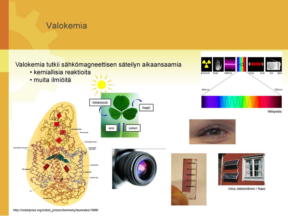 hiilidioksidi happi Wikipedia vesi sokeri Vesa