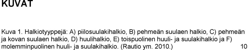 halkio, C) pehmeän ja kovan suulaen halkio, D) huulihalkio,