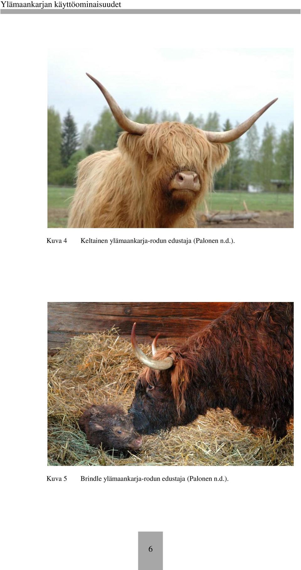 (Palonen n.d.).