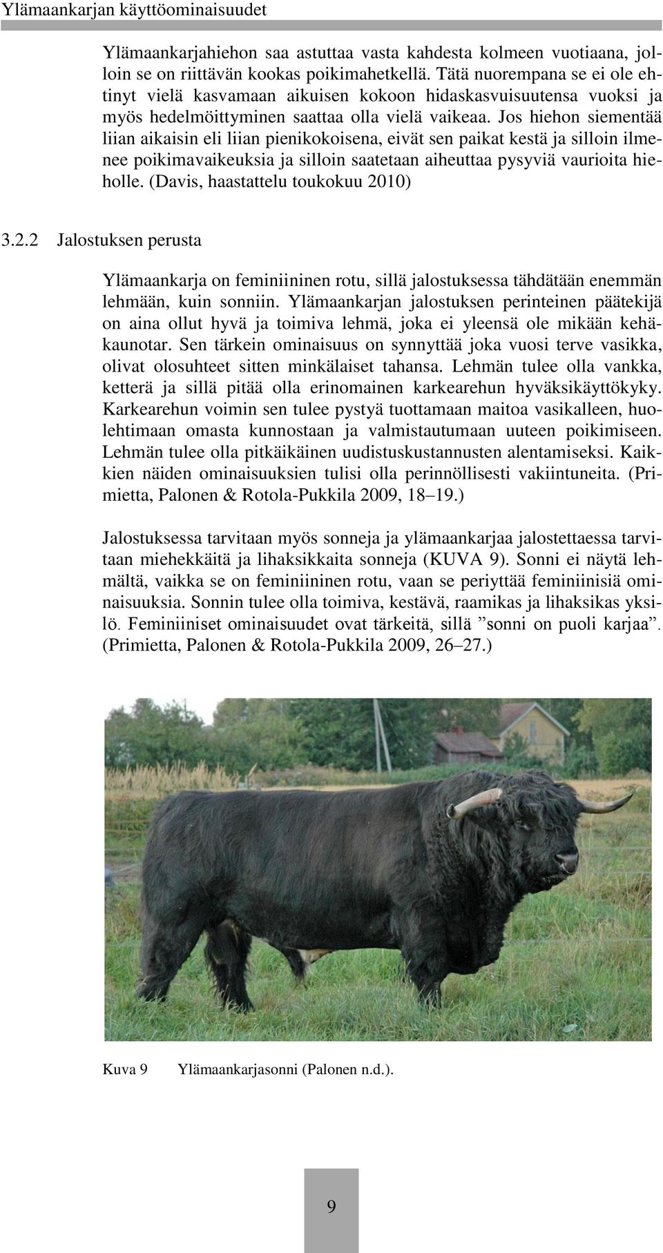Jos hiehon siementää liian aikaisin eli liian pienikokoisena, eivät sen paikat kestä ja silloin ilmenee poikimavaikeuksia ja silloin saatetaan aiheuttaa pysyviä vaurioita hieholle.
