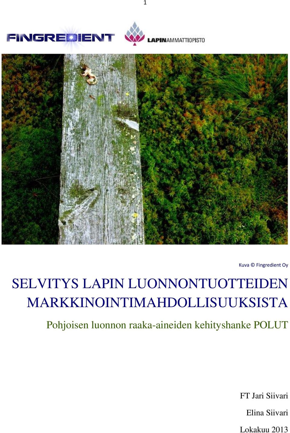 MARKKINOINTIMAHDOLLISUUKSISTA Pohjoisen