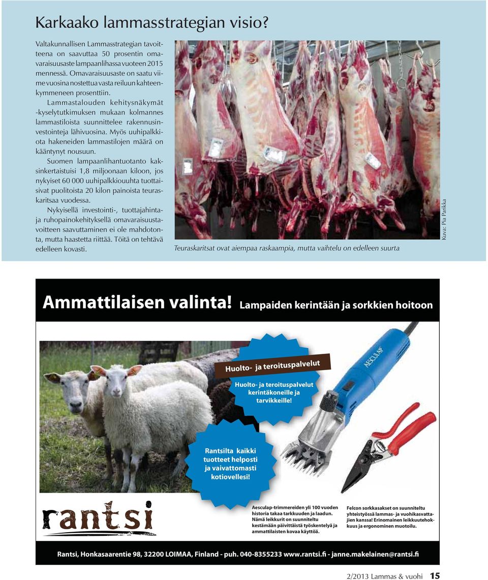 Lammastalouden kehitysnäkymät -kyselytutkimuksen mukaan kolmannes lammastiloista suunnittelee rakennusinvestointeja lähivuosina. Myös uuhipalkkiota hakeneiden lammastilojen määrä on kääntynyt nousuun.