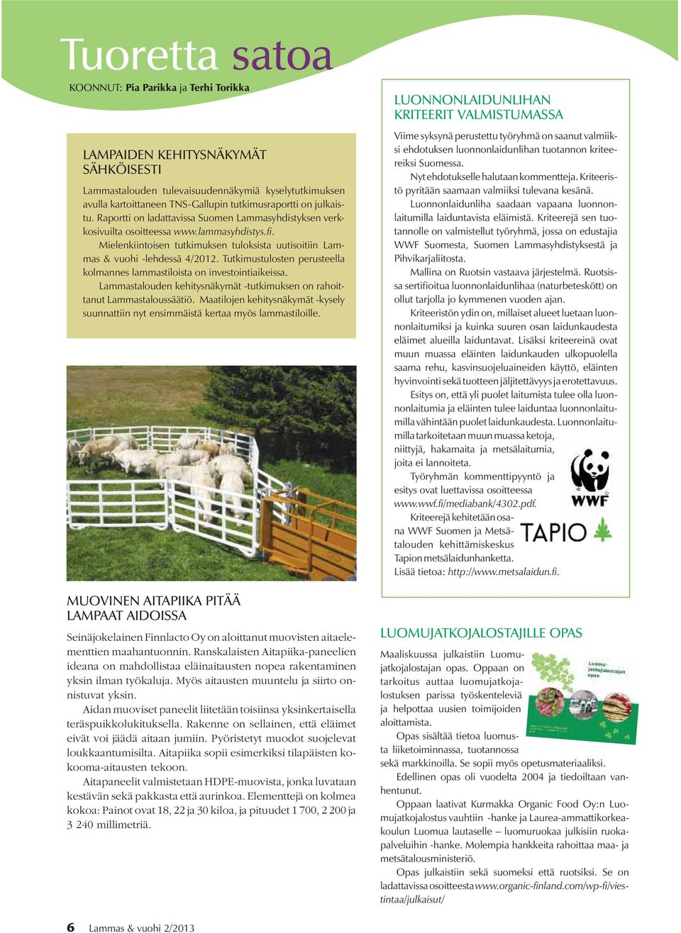 Tutkimustulosten perusteella kolmannes lammastiloista on investointiaikeissa. Lammastalouden kehitysnäkymät -tutkimuksen on rahoittanut Lammastaloussäätiö.