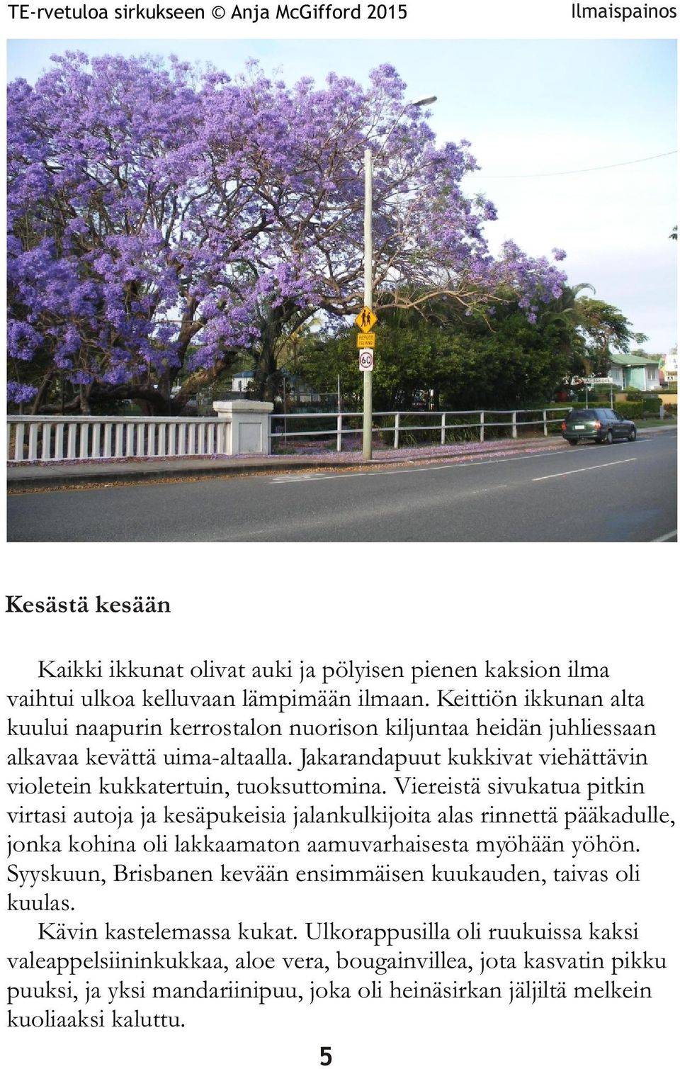 Jakarandapuut kukkivat viehättävin violetein kukkatertuin, tuoksuttomina.