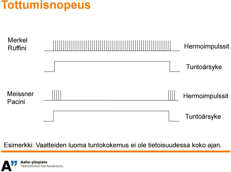 Hermoimpulssit Tuntoärsyke Esimerkki: