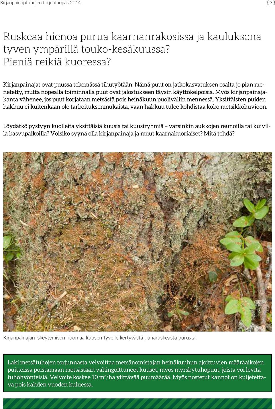 Myös kirjanpainajakanta vähenee, jos puut korjataan metsästä pois heinäkuun puoliväliin mennessä.