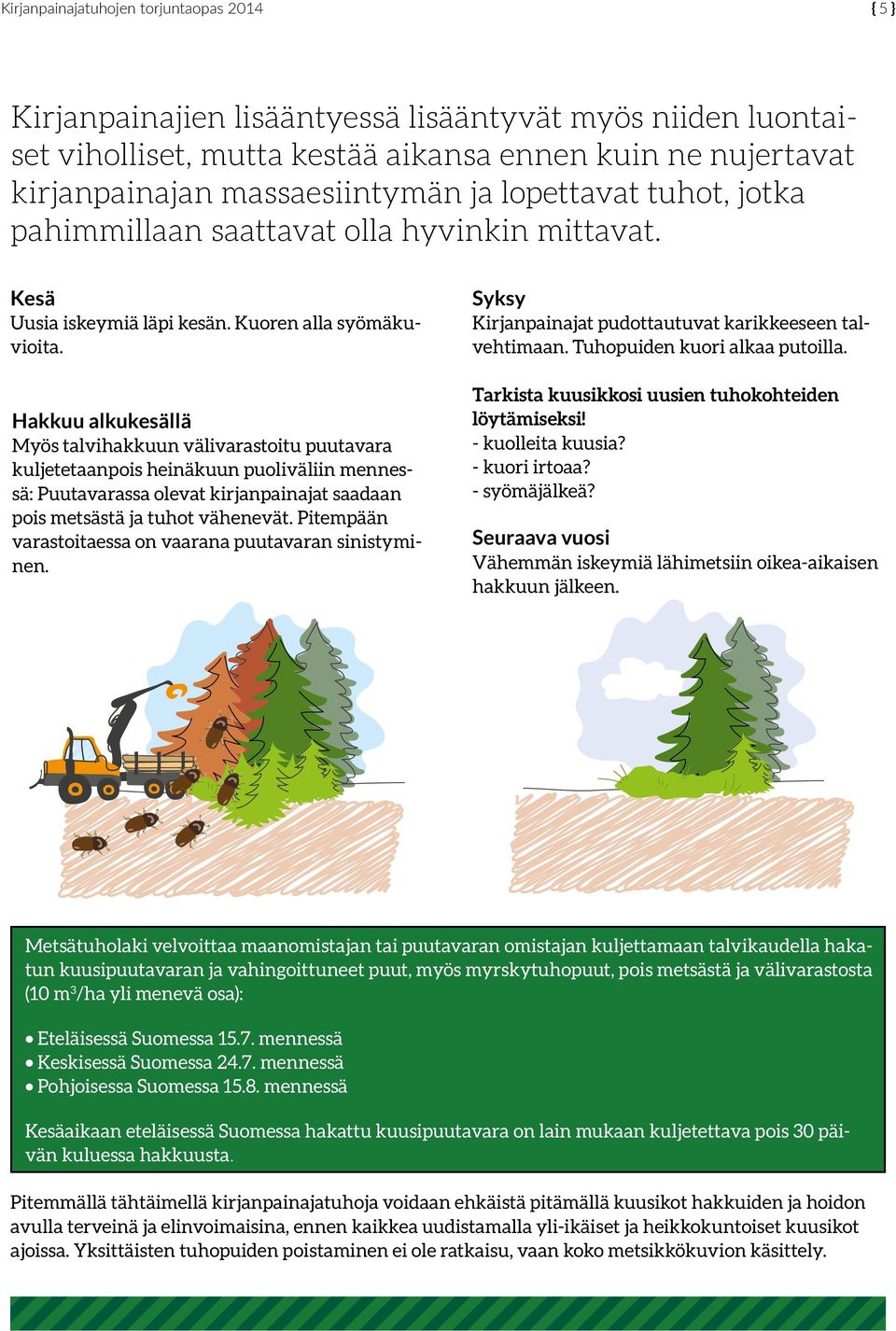 Hakkuu alkukesällä Myös talvihakkuun välivarastoitu puutavara kuljetetaanpois heinäkuun puoliväliin mennessä: Puutavarassa olevat kirjanpainajat saadaan pois metsästä ja tuhot vähenevät.