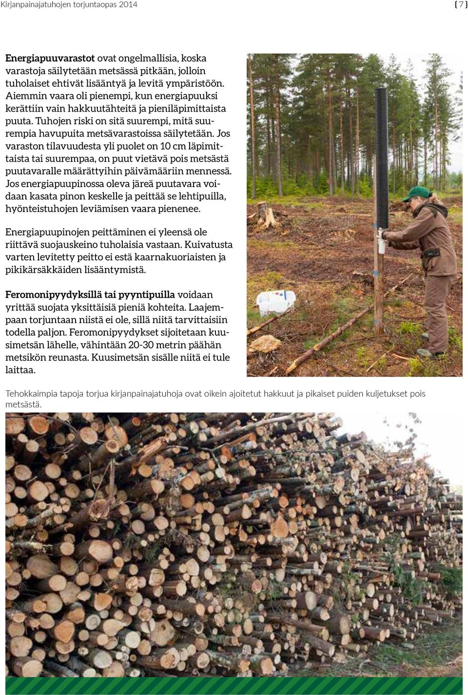 Jos varaston tilavuudesta yli puolet on 10 cm läpimittaista tai suurempaa, on puut vietävä pois metsästä puutavaralle määrättyihin päivämääriin mennessä.
