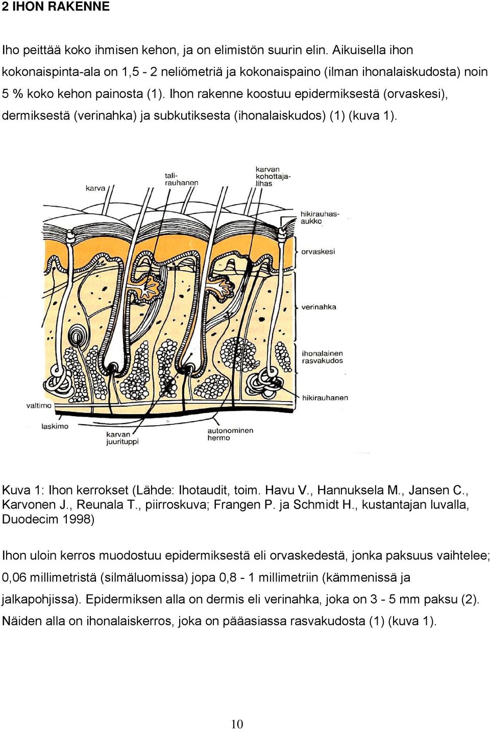 Ihon rakenne koostuu epidermiksestä (orvaskesi), dermiksestä (verinahka) ja subkutiksesta (ihonalaiskudos) (1) (kuva 1). Kuva 1: Ihon kerrokset (Lähde: Ihotaudit, toim. Havu V., Hannuksela M.