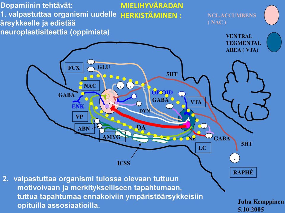 ACCUMBENS ( NAC ) VENTRAL TEGMENTAL AREA ( VTA) FCX.. GLU 5HT GABA ENK VP ABN NAC.. AMYG.... DYN DA OPIOID GABA.. VTA NE.