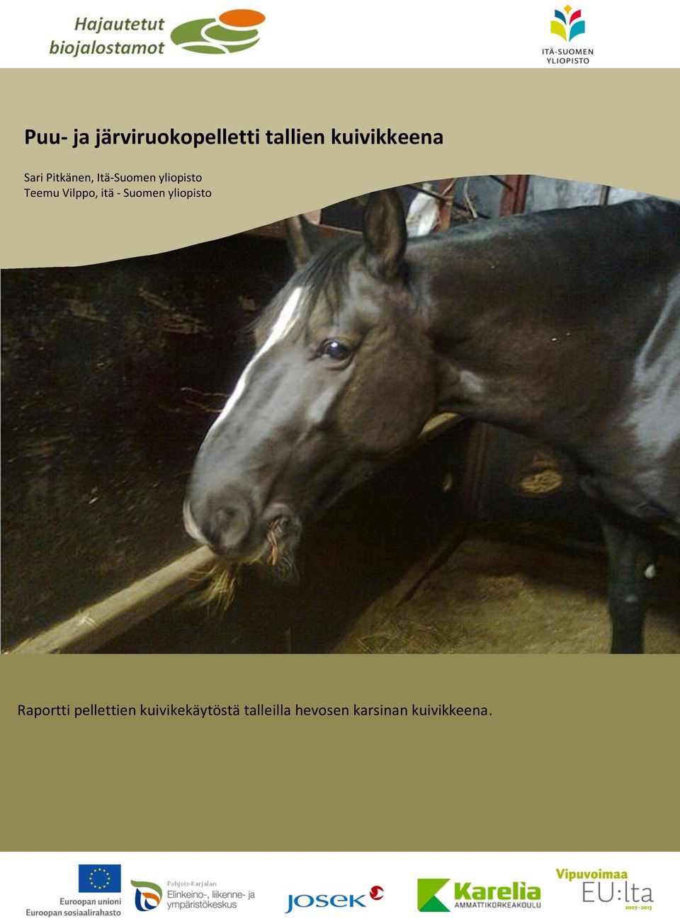 Vilppo, itä - Suomen yliopisto Raportti