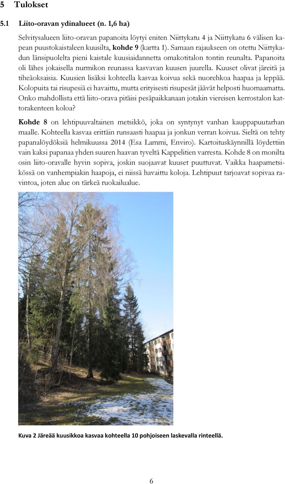 Kuuset olivat järeitä ja tiheäoksaisia. Kuusien lisäksi kohteella kasvaa koivua sekä nuorehkoa haapaa ja leppää.