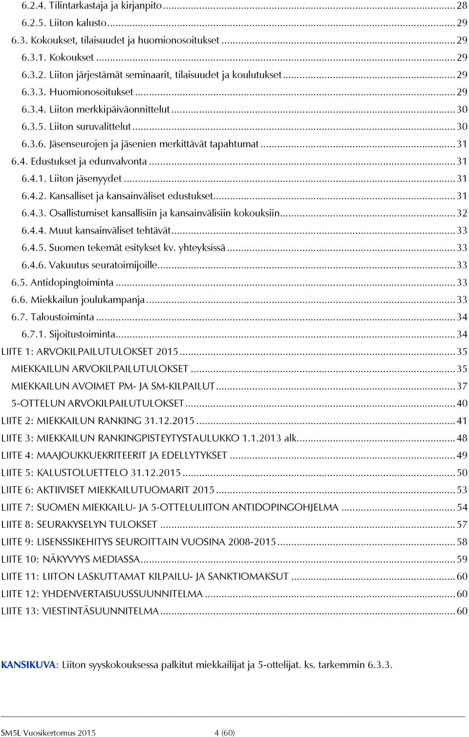 .. 31 6.4.1. Liiton jäsenyydet... 31 6.4.2. Kansalliset ja kansainväliset edustukset... 31 6.4.3. Osallistumiset kansallisiin ja kansainvälisiin kokouksiin... 32 6.4.4. Muut kansainväliset tehtävät.