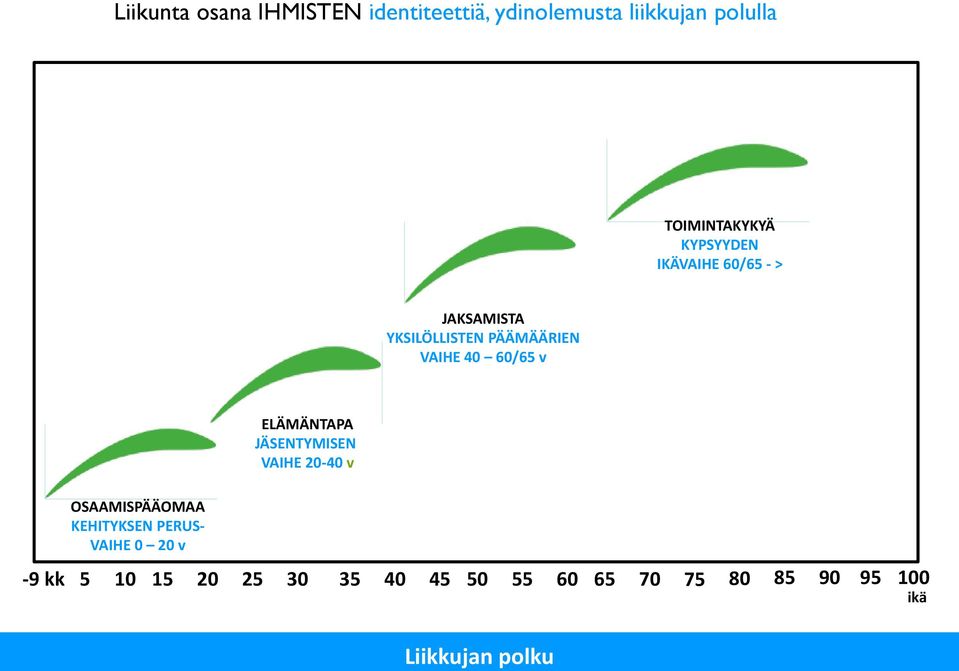 ELÄMÄNTAPA JÄSENTYMISEN VAIHE 20-40 v OSAAMISPÄÄOMAA KEHITYKSEN PERUS- VAIHE 0 20 v