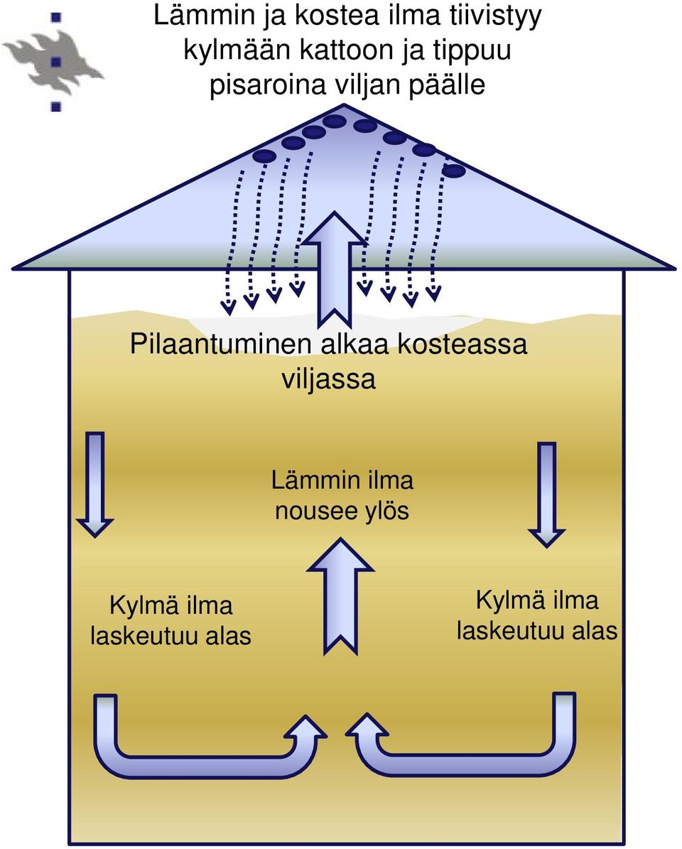 alkaa kosteassa viljassa Lämmin ilma nousee ylös