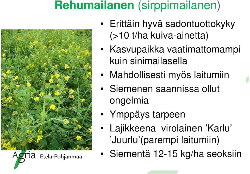 Mahdollisesti myös laitumiin Siemenen saannissa ollut ongelmia Ymppäys