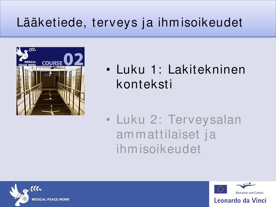 Lakitekninen konteksti Luku