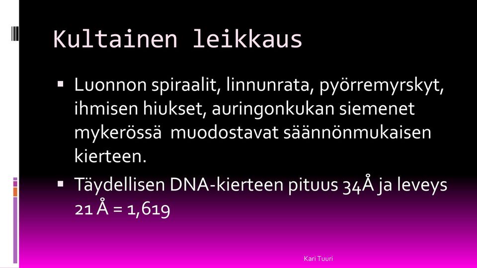 siemenet mykerössä muodostavat säännönmukaisen