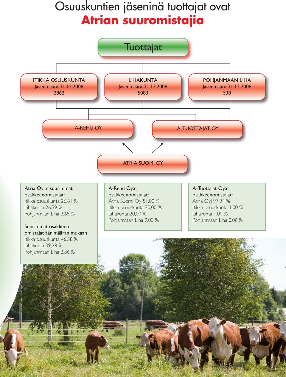 osakkeenomistajat äänimäärän mukaan Itikka osuuskunta 46,58 % Lihakunta 39,28 % Pohjanmaan Liha 2,86 % A-Rehu Oy:n osakkeenomistajat: Atria Suomi Oy 51,00 % Itikka