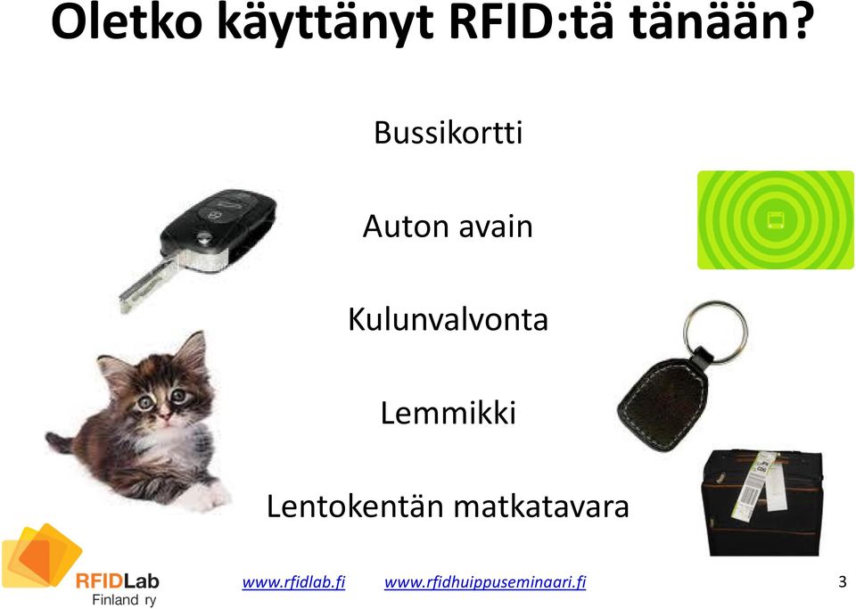 Kulunvalvonta Lemmikki Lentokentän