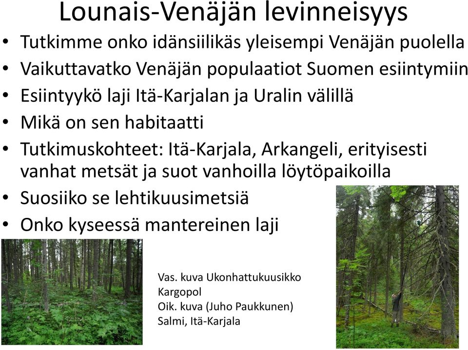 Tutkimuskohteet: Itä-Karjala, Arkangeli, erityisesti vanhat metsät ja suot vanhoilla löytöpaikoilla Suosiiko se