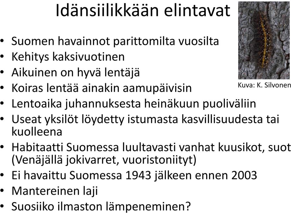 kasvillisuudesta tai kuolleena Habitaatti Suomessa luultavasti vanhat kuusikot, suot (Venäjällä jokivarret,