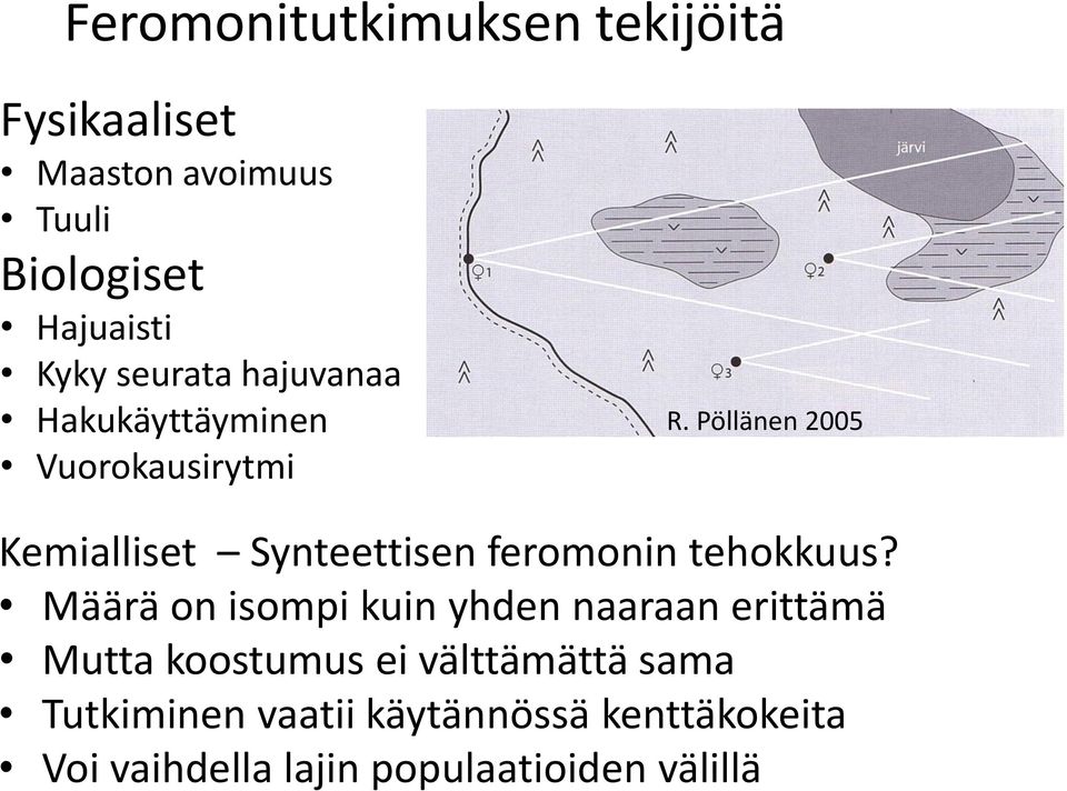 Pöllänen 2005 Kemialliset Synteettisen feromonin tehokkuus?