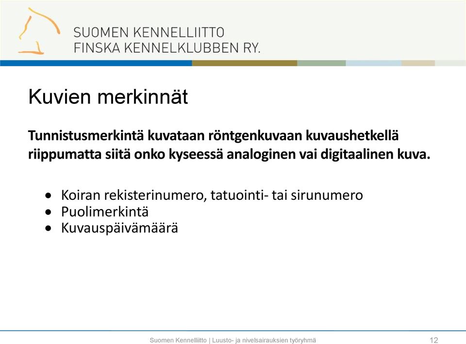 kyseessä analoginen vai digitaalinen kuva.