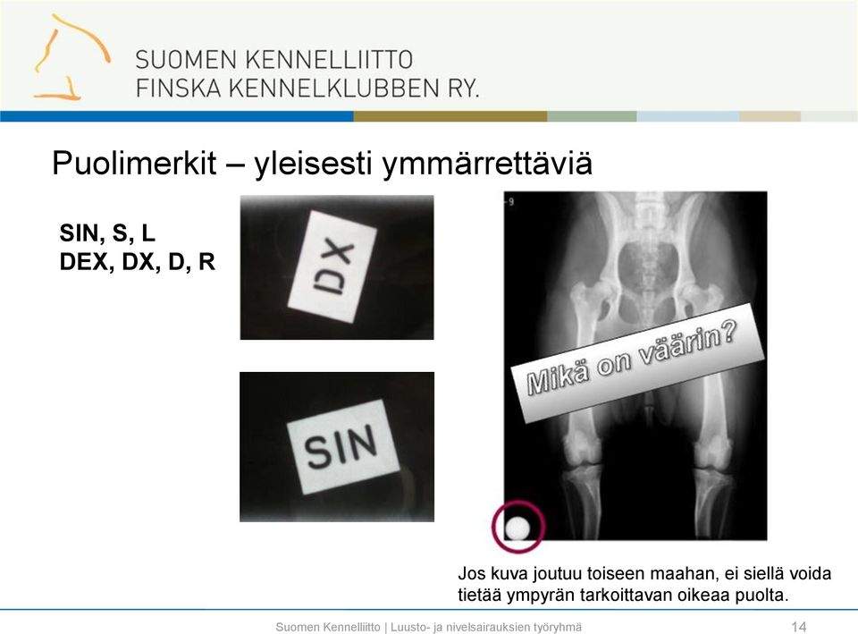 joutuu toiseen maahan, ei siellä voida