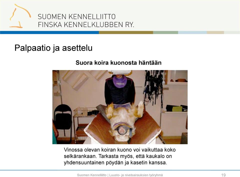 vaikuttaa koko selkärankaan.