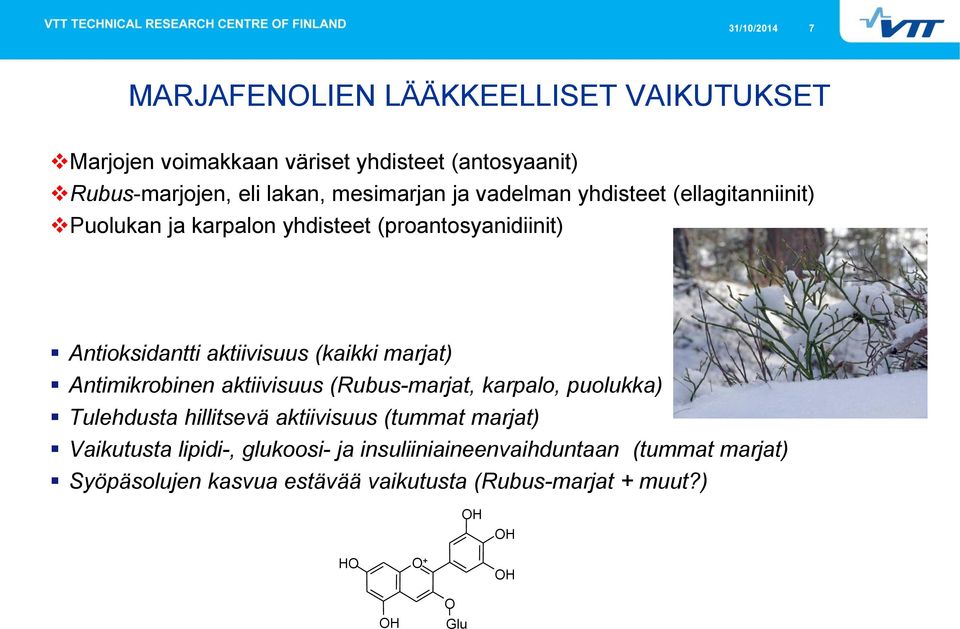 marjat) Antimikrobinen aktiivisuus (Rubus-marjat, karpalo, puolukka) Tulehdusta hillitsevä aktiivisuus (tummat marjat) Vaikutusta lipidi-,