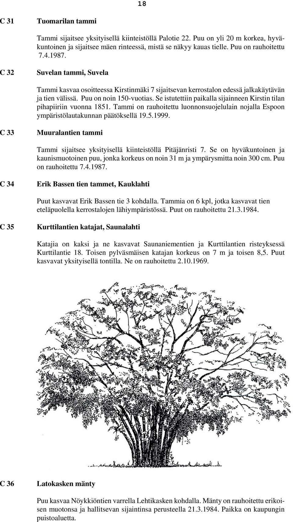 Se istutettiin paikalla sijainneen Kirstin tilan pihapiiriin vuonna 1851. Tammi on rauhoitettu luonnonsuojelulain nojalla Espoon ympäristölautakunnan päätöksellä 19.5.1999.