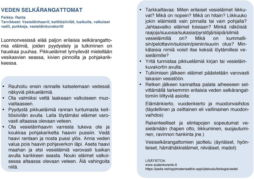 Rauhoitu ensin rannalle katselemaan vedessä näkyviä pikkueläimiä. Ota valmiiksi vettä laakeaan valkoiseen muovialtaaseen. Pyydystä pikkueläimiä rannan tuntumasta keittiösiivilän avulla.