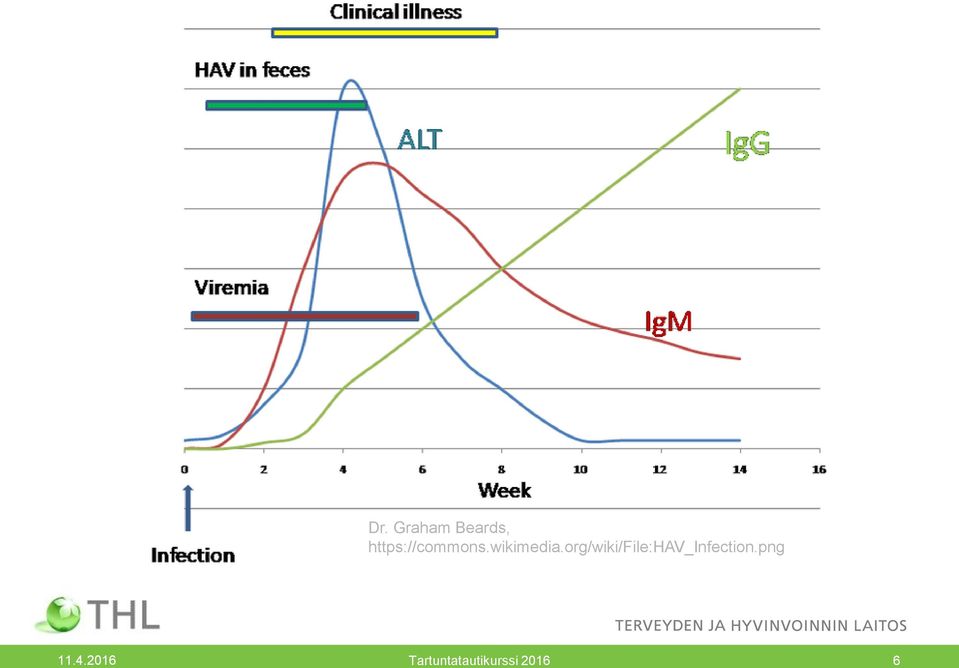 org/wiki/file:hav_infection.