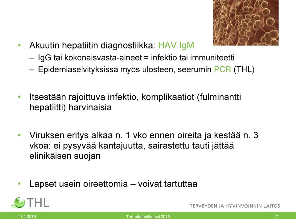 (fulminantti hepatiitti) harvinaisia Viruksen eritys alkaa n. 1 vko ennen oireita ja kestää n.