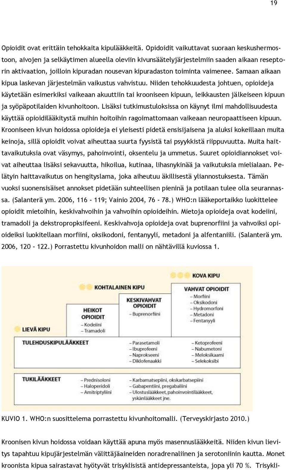 toiminta vaimenee. Samaan aikaan kipua laskevan järjestelmän vaikustus vahvistuu.