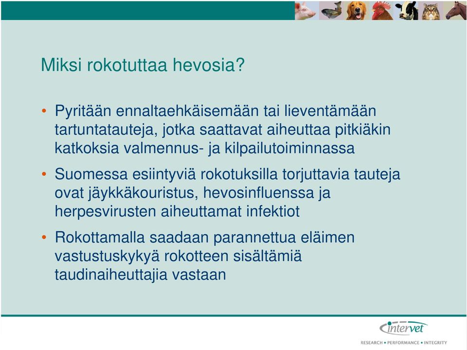 katkoksia valmennus- ja kilpailutoiminnassa Suomessa esiintyviä rokotuksilla torjuttavia tauteja