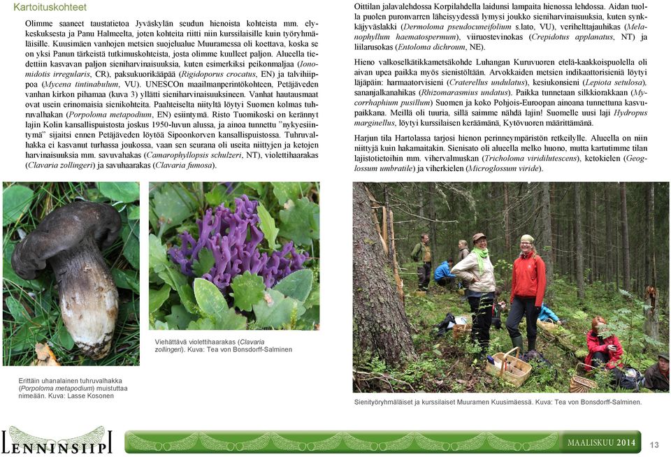 Alueella tiedettiin kasvavan paljon sieniharvinaisuuksia, kuten esimerkiksi peikonmaljaa (Ionomidotis irregularis, CR), paksukuorikääpää (Rigidoporus crocatus, EN) ja talvihiippoa (Mycena