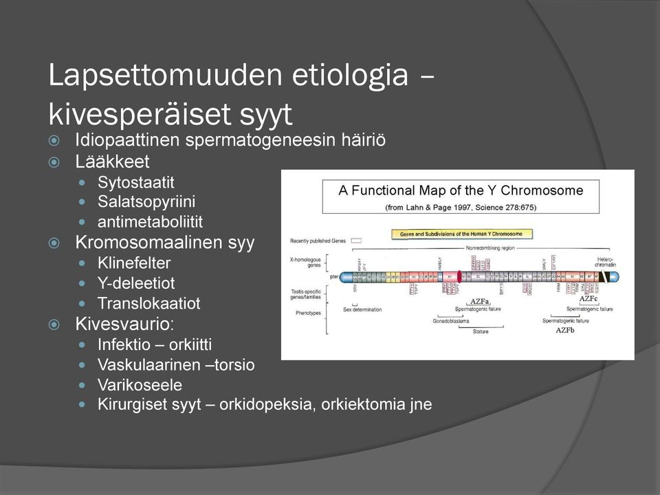 syy Klinefelter Y-deleetiot Translokaatiot Kivesvaurio: Infektio orkiitti