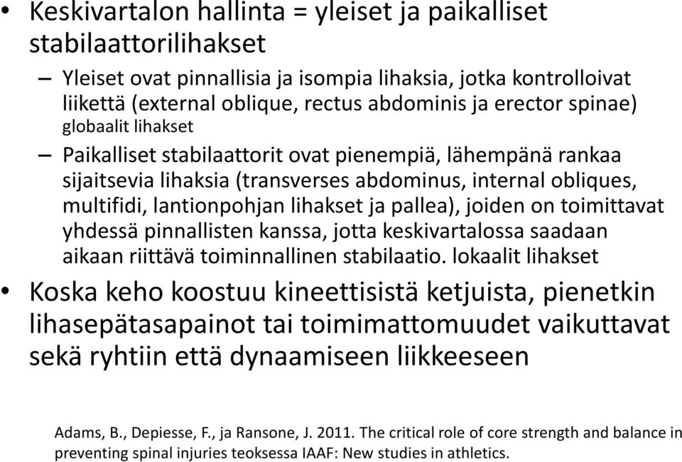 toimittavat yhdessä pinnallisten kanssa, jotta keskivartalossa saadaan aikaan riittävä toiminnallinen stabilaatio.